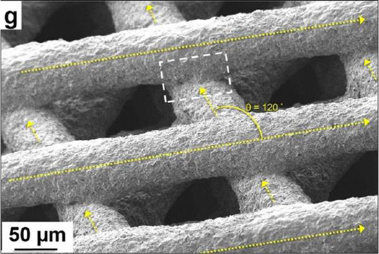 科學(xué)家開發(fā)出含75%石墨烯的3D打印油墨