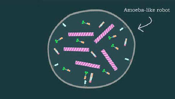 日本研發微機器人：DNA控制像細胞一樣移動