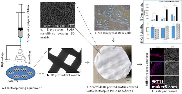 多材料3D打印細胞“支架”推動再生醫學發展