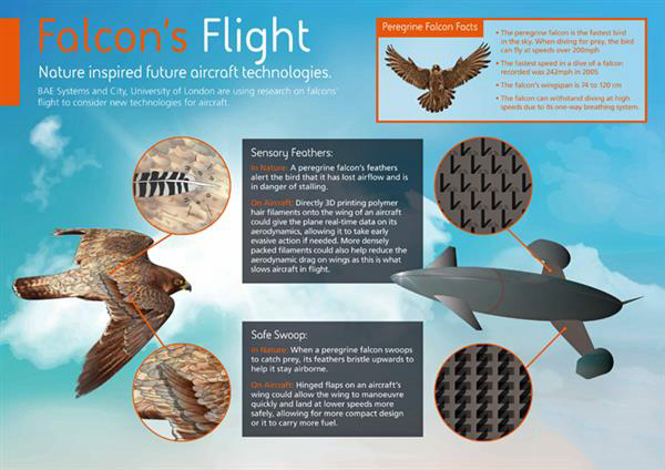 BAE系統用受游隼啟發的3D打印羽毛改進飛機機械性能