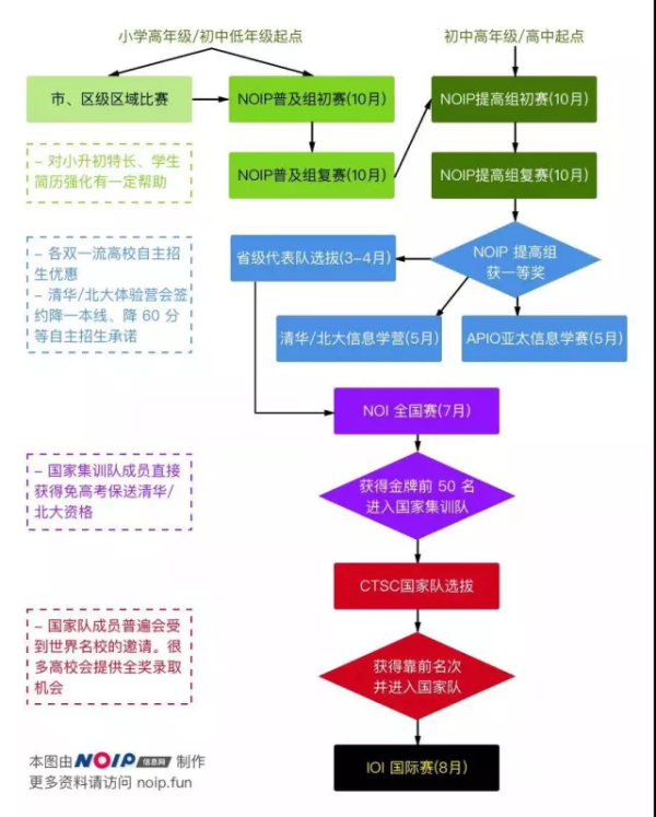 新手如何入門信息學奧賽？金牌教練全面解讀！