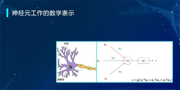 “半斤八兩”為什么一樣多？用編程告訴你這里的玄機！ 